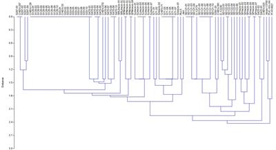 Empirical phenotyping and genome-wide association study reveal the association of panicle architecture with yield in Chenopodium quinoa